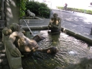 Bodensee_36